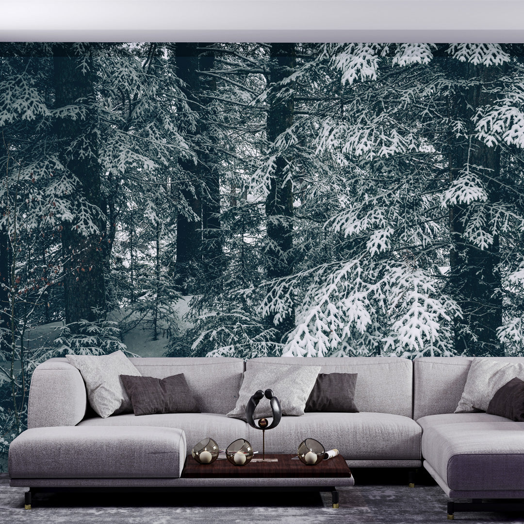Alberi Innevati