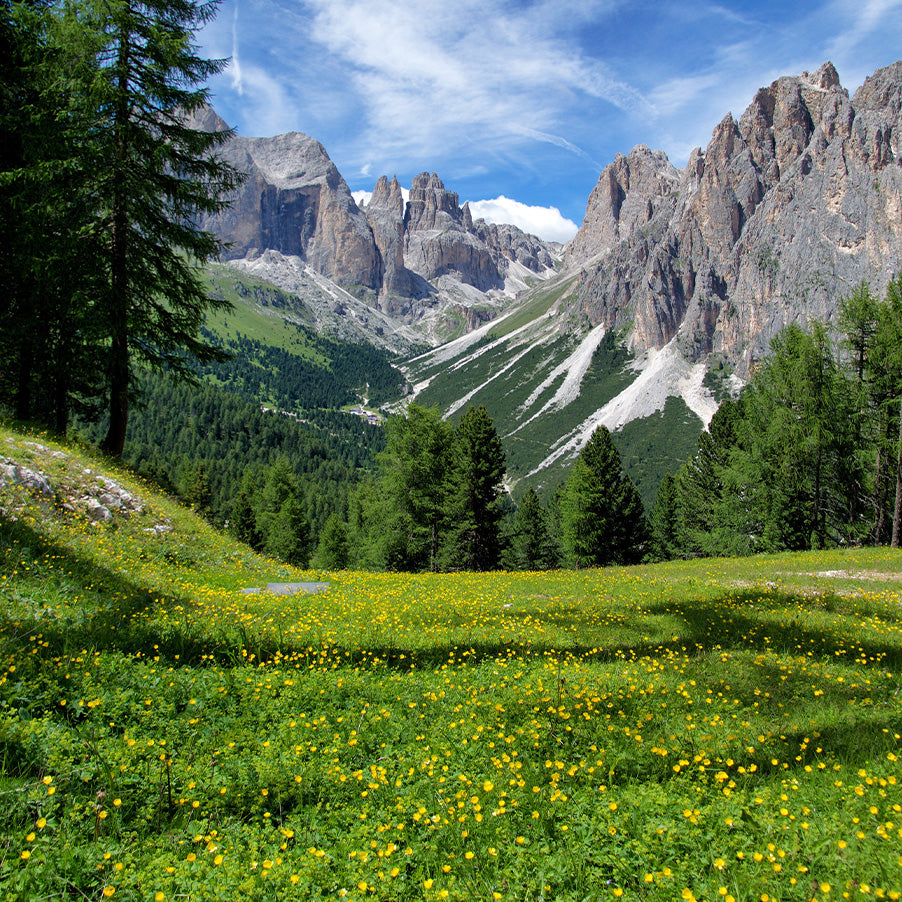 Prato Verde