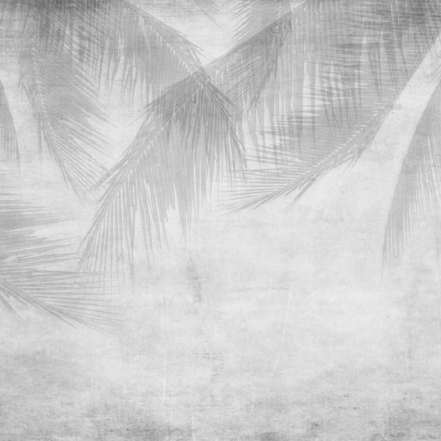 Palme Grigie