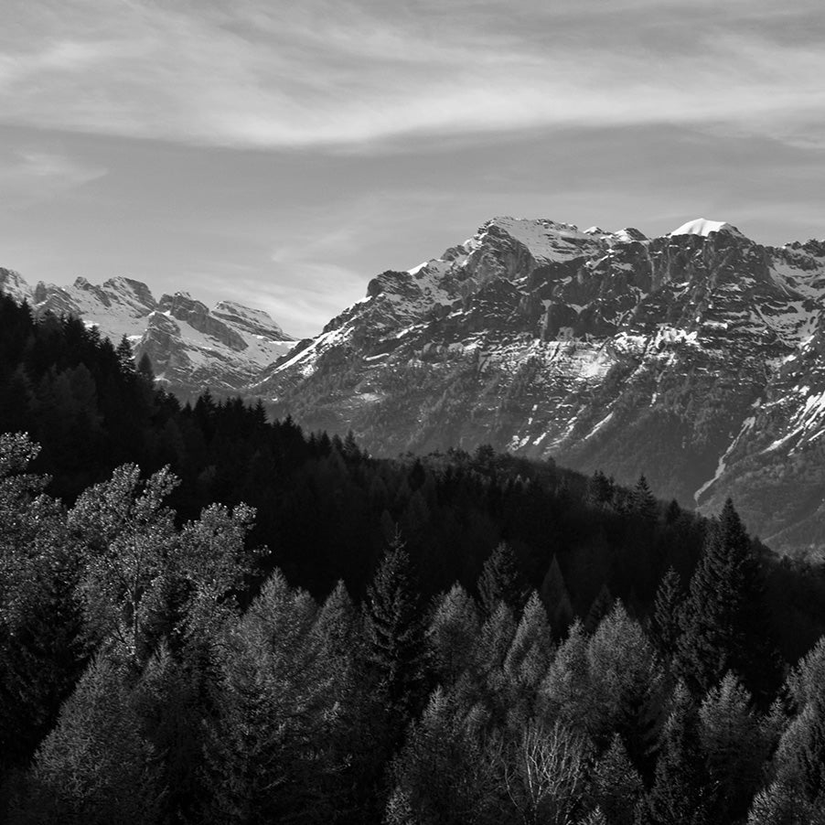 Panorama Monocromatico