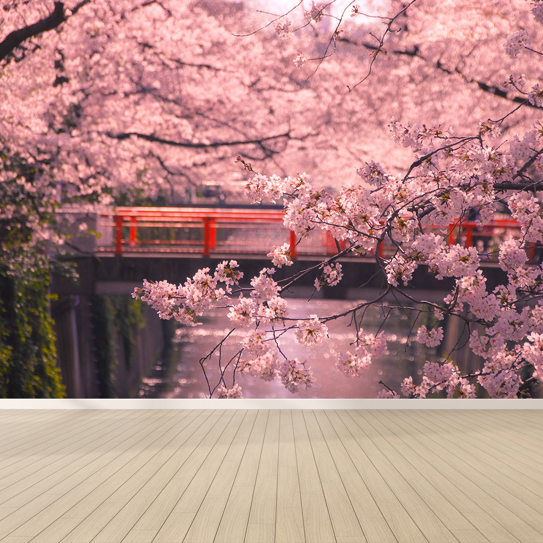 Tokyo - Fiori di Ciliegio