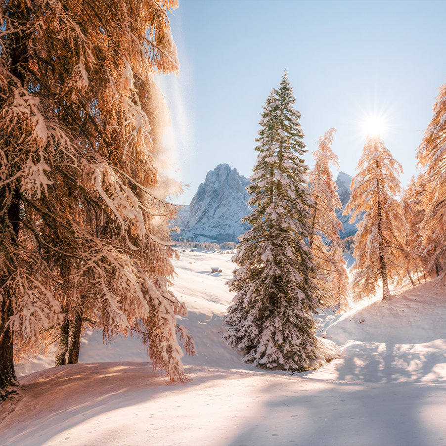 Alpe di Siusi Innevata