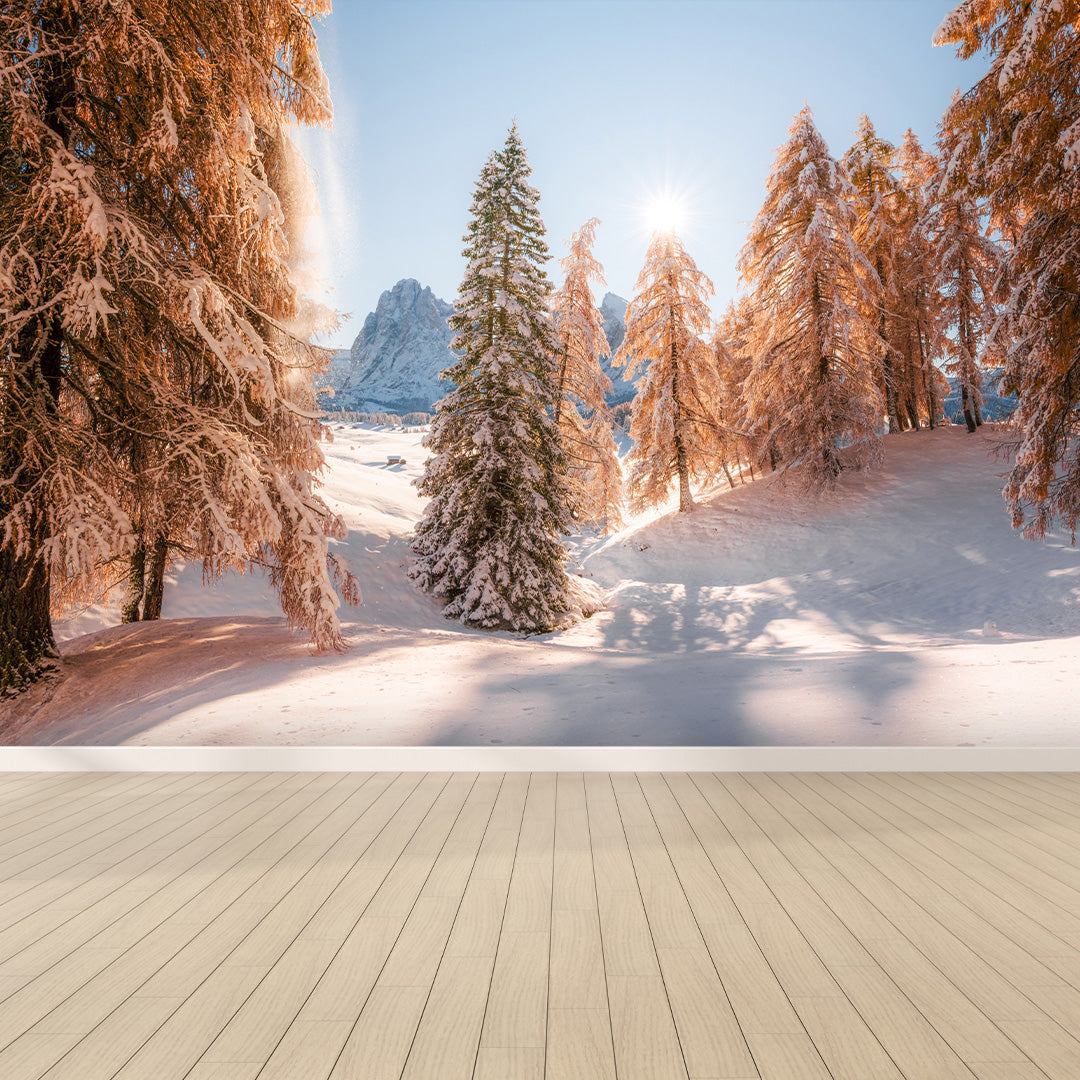 Alpe di Siusi Innevata