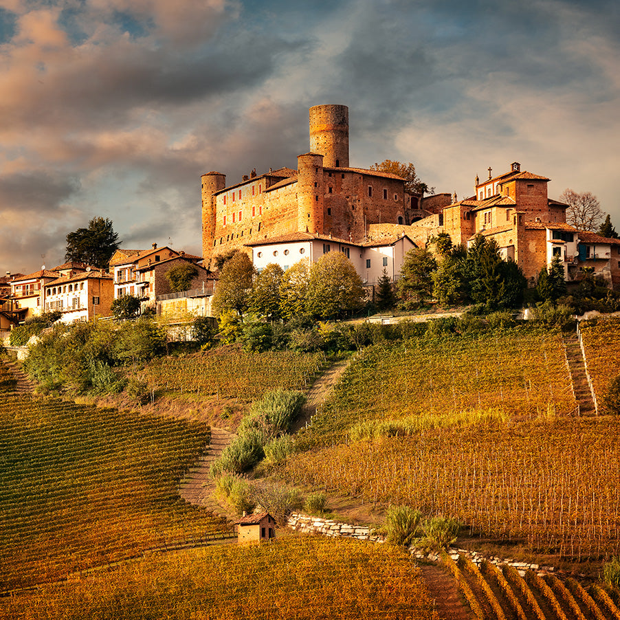 Nelle Langhe