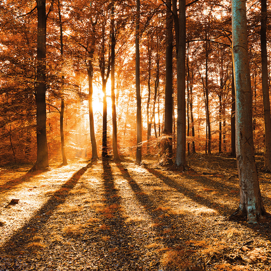 I Colori di Ottobre